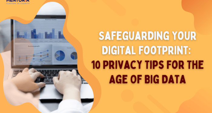 Safeguarding Your Digital Footprint: 10 Privacy Tips For The Age Of Big ...